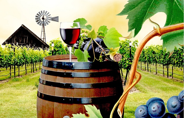 D&eacute;couvrez notre s&eacute;lection de documents sur le marketing du vin