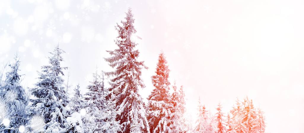 Vacances d'hiver | Fermetures et pr&ecirc;t allong&eacute;