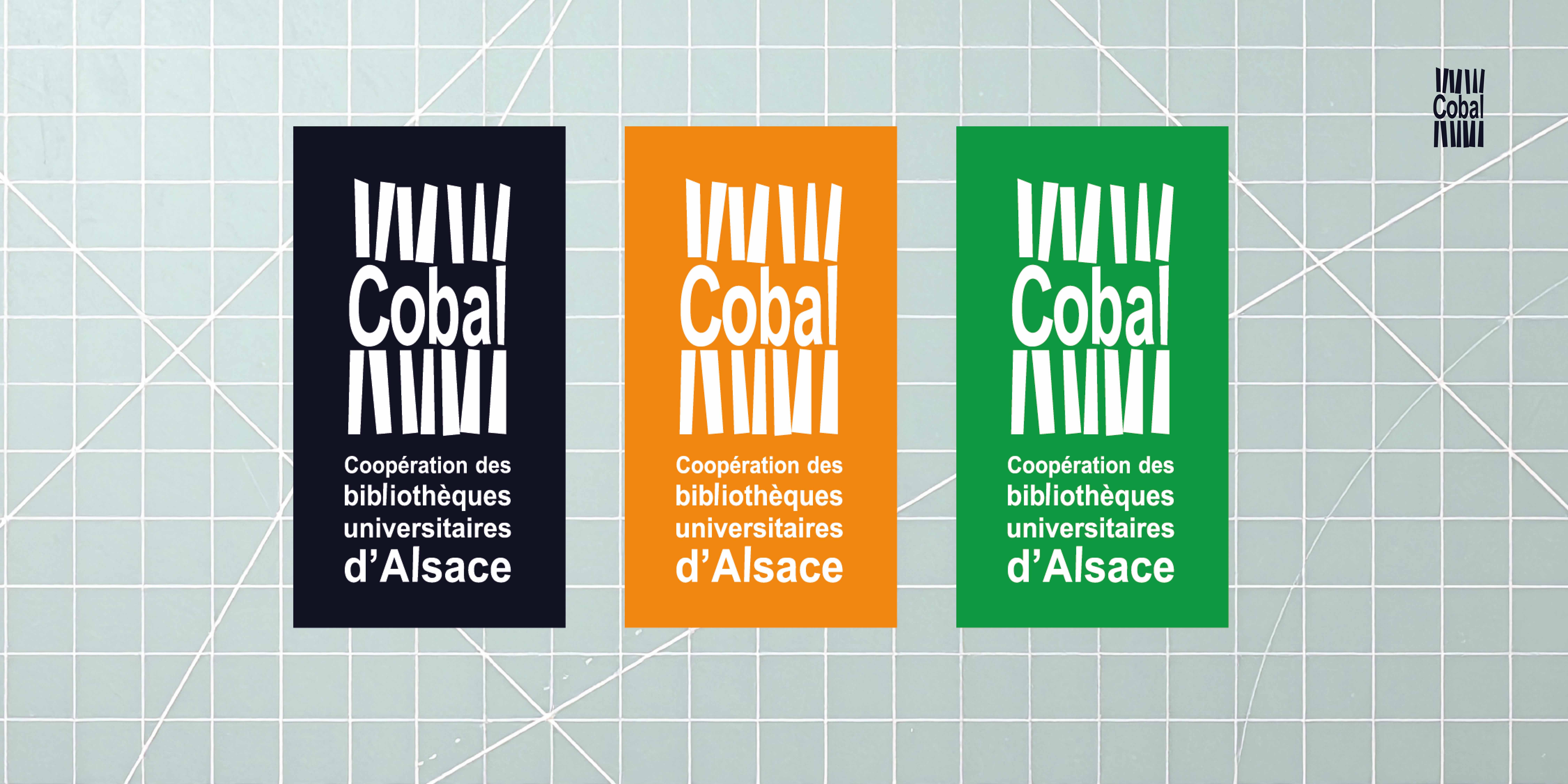 Cobal : la Coopération documentaire des bibliothèques universitaires d'Alsace