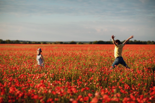 Lundi de Pentec&ocirc;te le 5 juin: biblioth&egrave;ques ferm&eacute;es